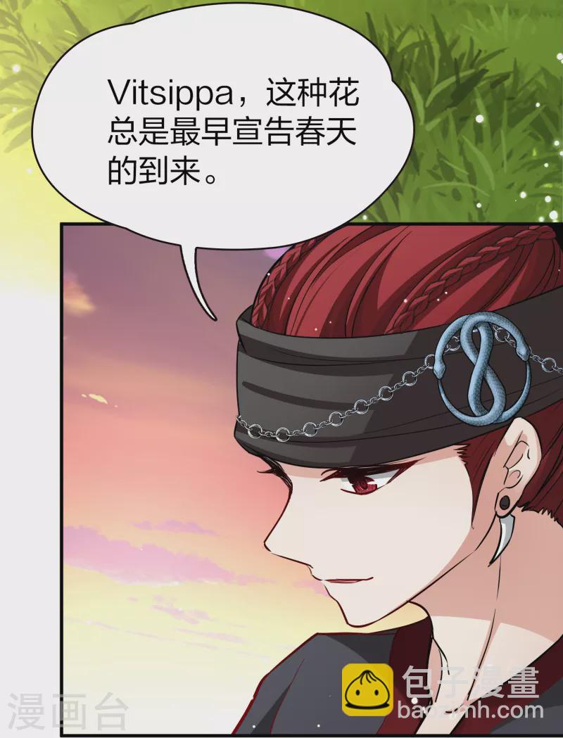 🍚寻找前世之旅 第2季第49话 维卡的秘密4 第10页