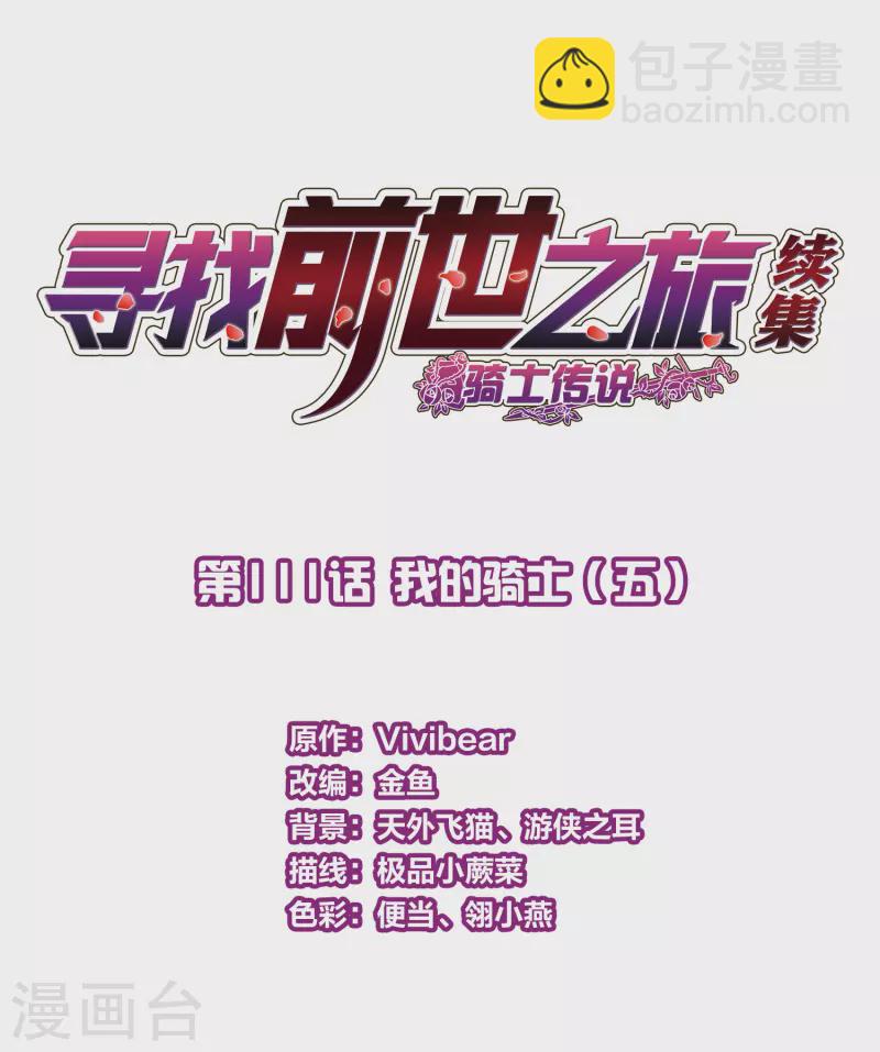 🍚寻找前世之旅 第2季第111话 我的骑士5 第2页