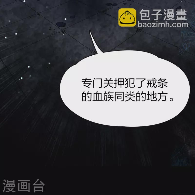 🍚寻找前世之旅 第2季第193话 神秘的血族之王2 第14页