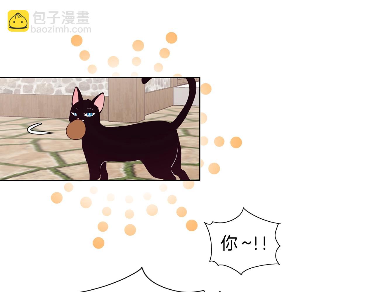 第12话 穿靴子的猫(1/2)-第13话