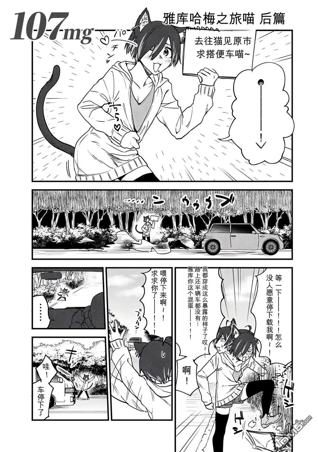 雅尼猫 第107话