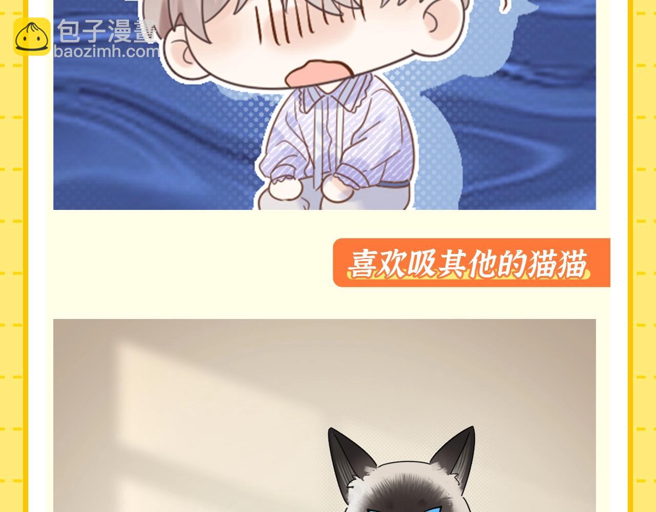 第1期 特别企划：当他变成猫猫后-第19话