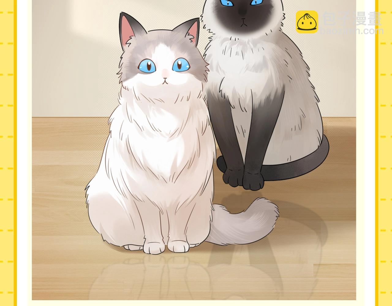第1期 特别企划：当他变成猫猫后-第19话