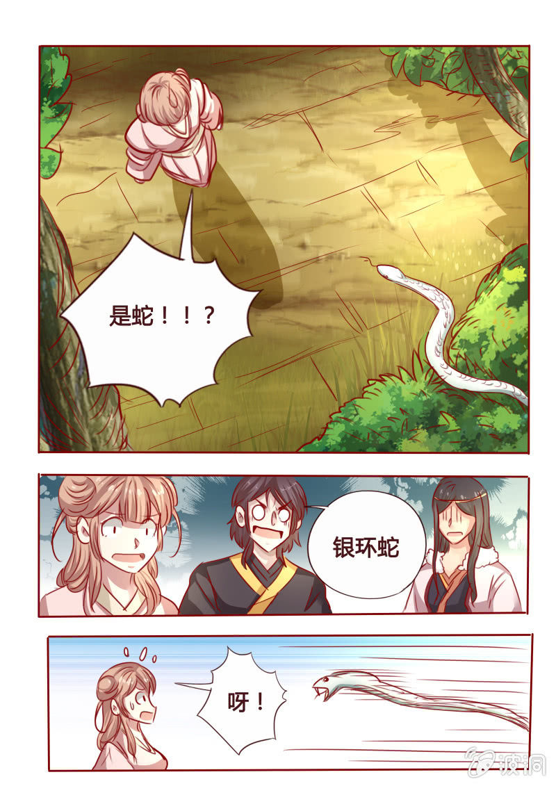 银环毒蛇-第97话