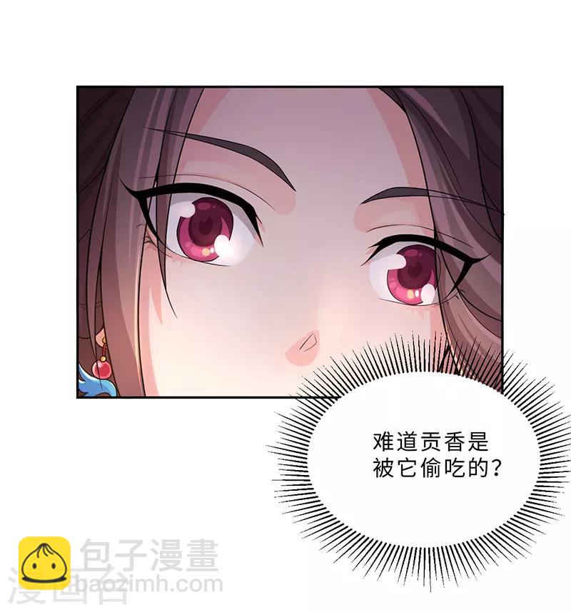 第59话 小迷踪兽-第63话