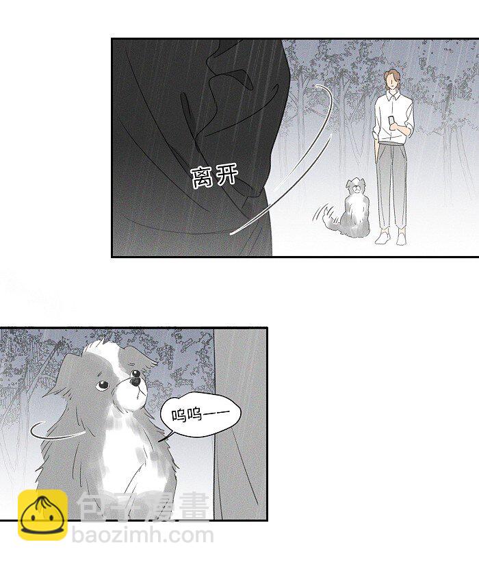 41 家里白菜被拱了！-第43话