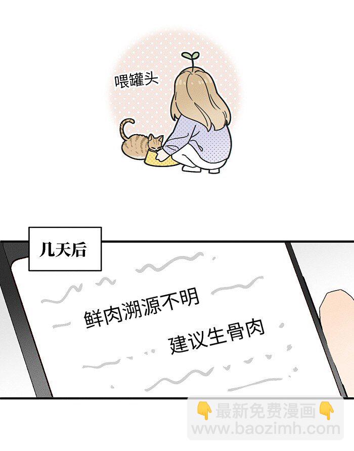 番外 裴心养猫记-第75话