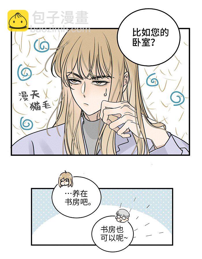番外 裴心养猫记-第75话