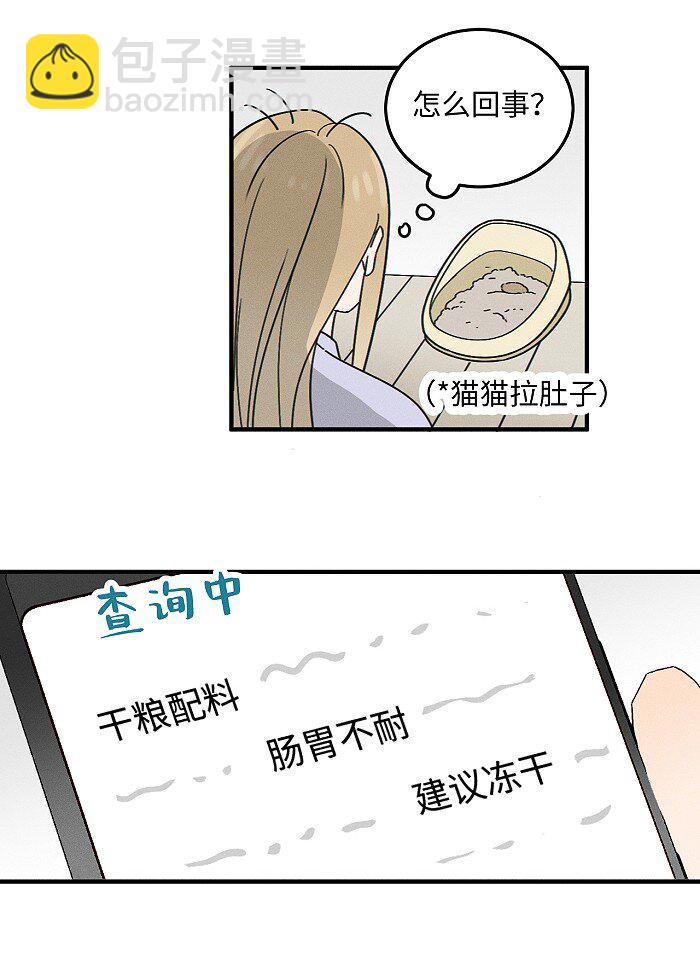 番外 裴心养猫记-第75话