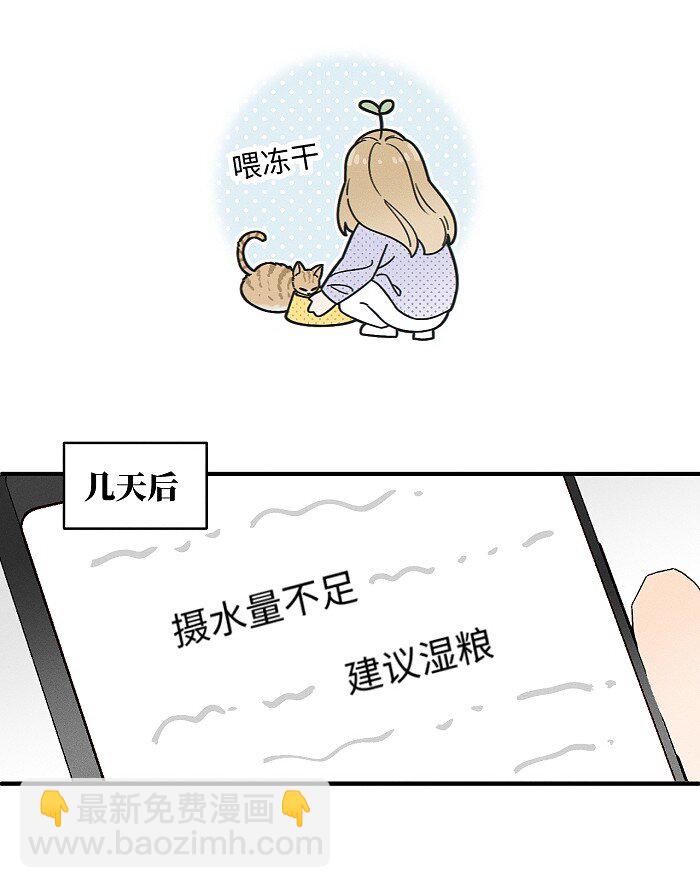 番外 裴心养猫记-第75话
