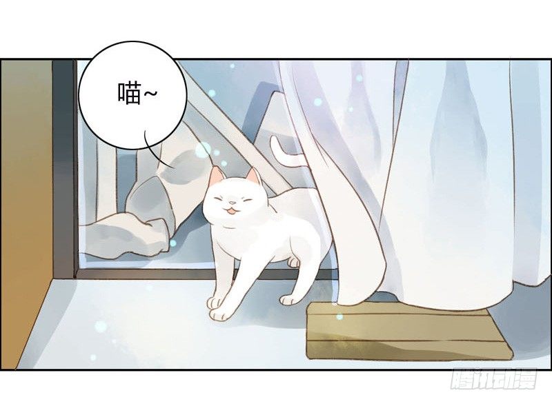 哪里来的猫（上）-第11话
