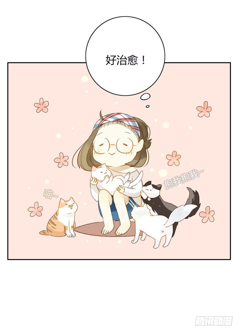 哪里来的猫（上）-第11话