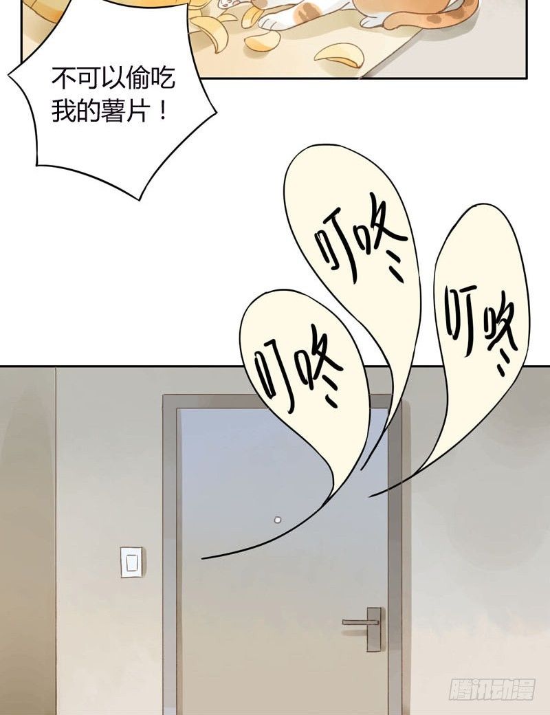 哪里来的猫（上）-第11话