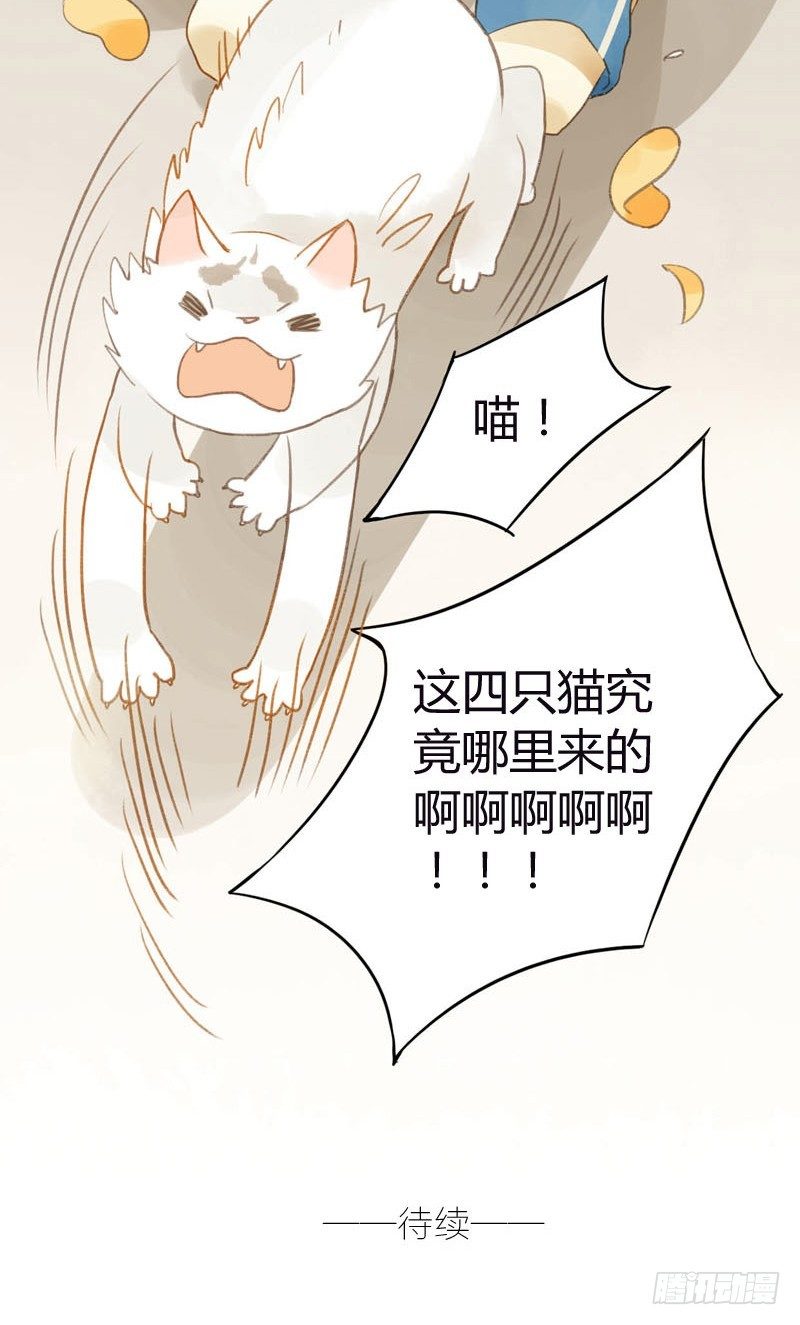 哪里来的猫（上）-第11话