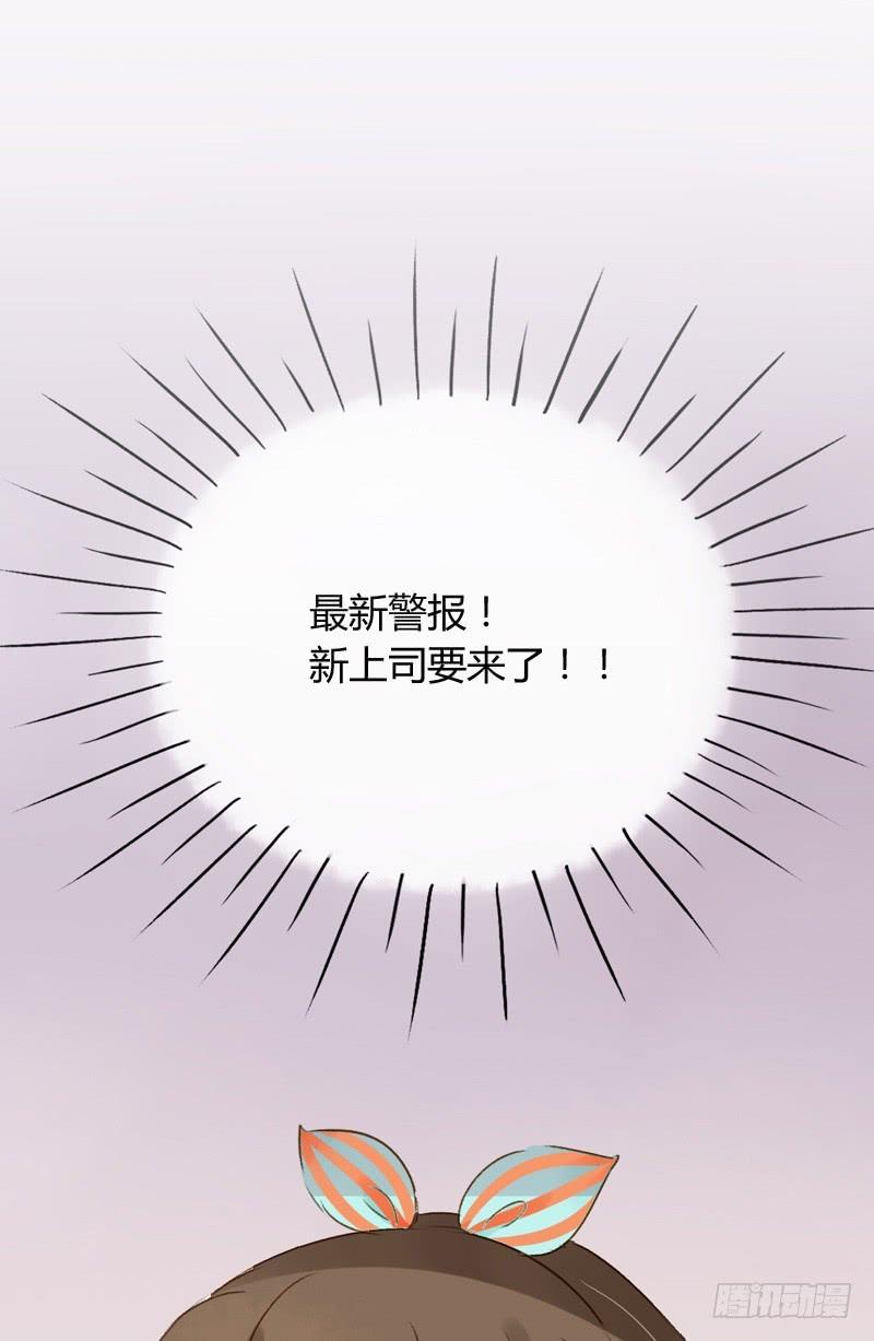 新上司（上）-第145话
