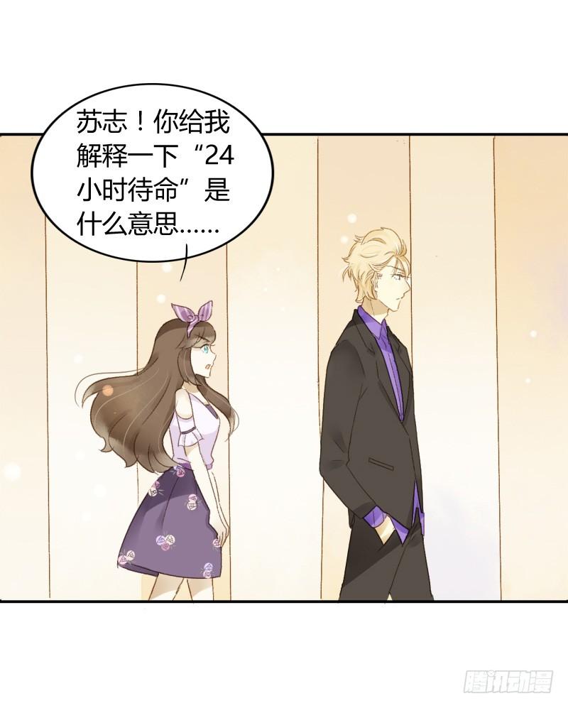 豪夺（中）-第167话