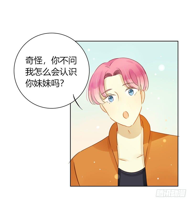 艾斯的礼物（中）-第243话