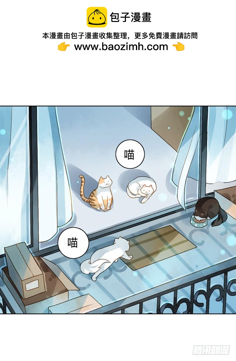做鸵鸟（中）-第235话