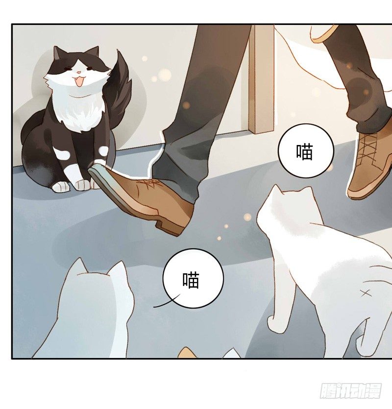 婚礼之后（中二）-第65话