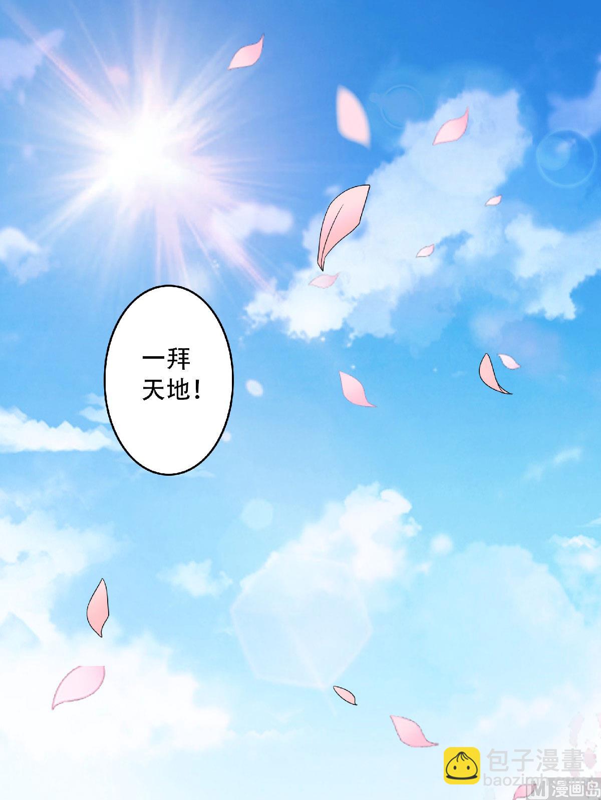 第二季第100话 驸马娶亲，满城相庆-第291话