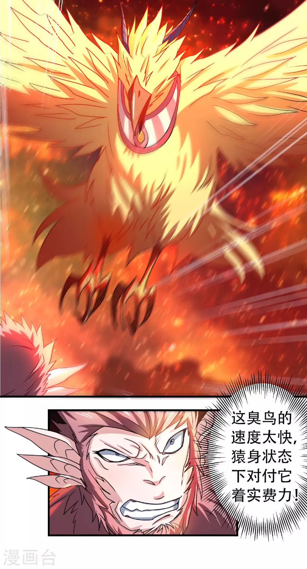 第76话 谁才是天空霸主？-第79话