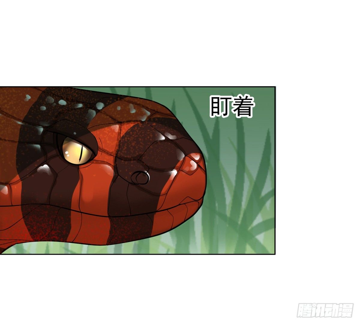 番外篇：前世今生(1/2)-第49话