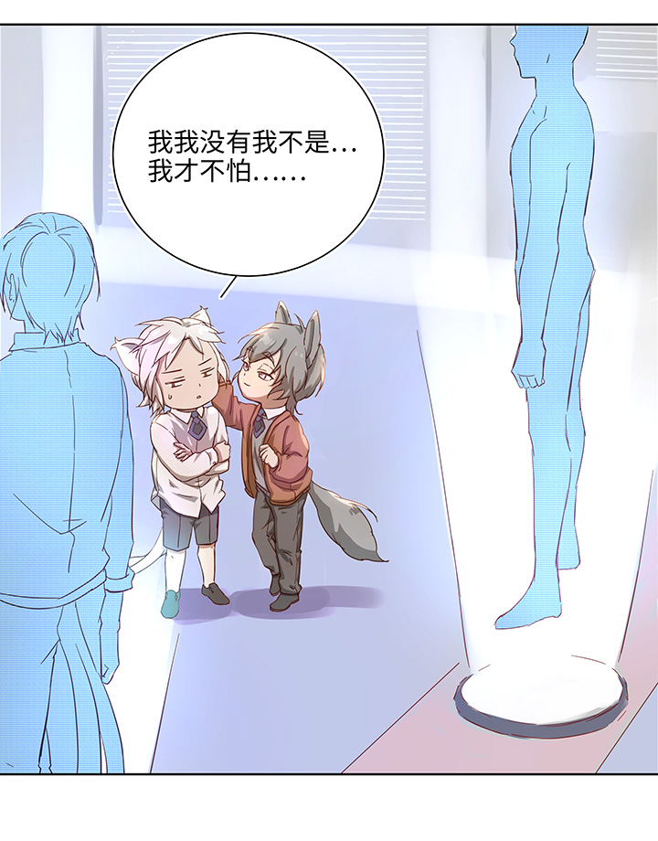 番外③ 泠珝与异色瞳狮子猫（上）-第109话