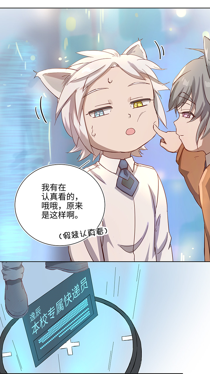 番外③ 泠珝与异色瞳狮子猫（上）-第109话