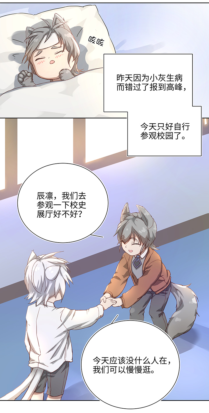 番外③ 泠珝与异色瞳狮子猫（上）-第109话