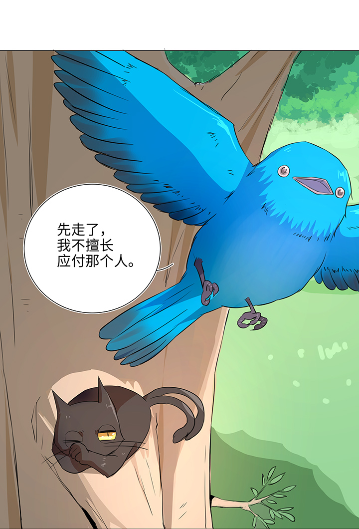 31 过去-第31话