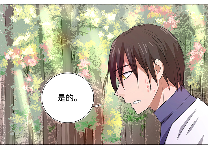 31 过去-第31话