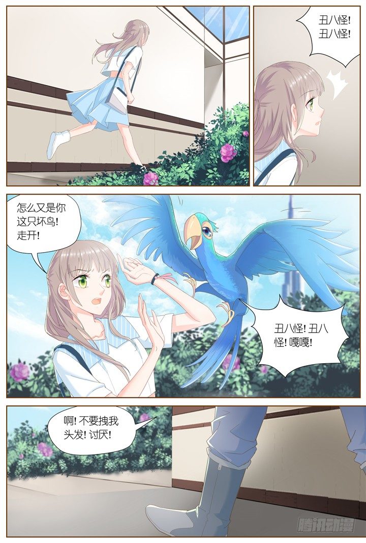 63.万羽之城4-第63话