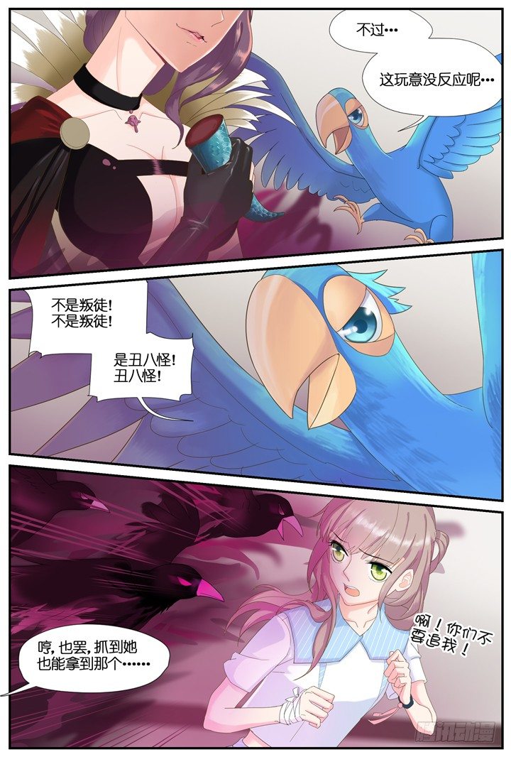 67.万羽之城8-第67话