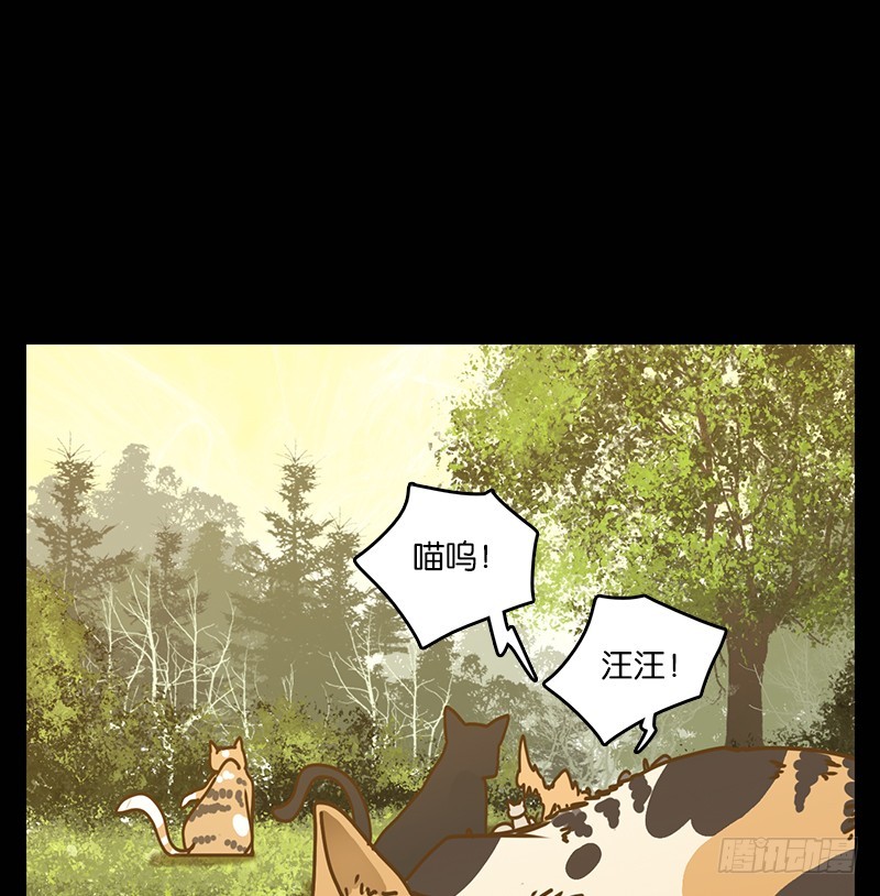 第42话 舐犊之情（六）(1/2)-第43话