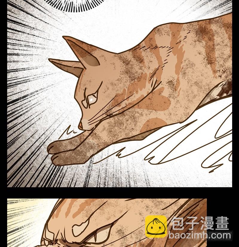 第42话 舐犊之情（六）(1/2)-第43话