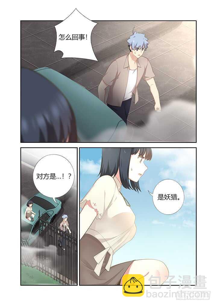 🍜妖怪名单 405.中华田园犬 第12页