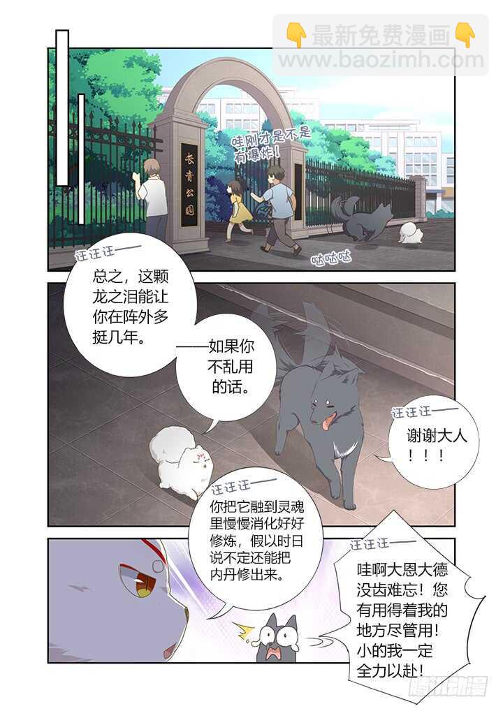 🍜妖怪名单 405.中华田园犬 第2页