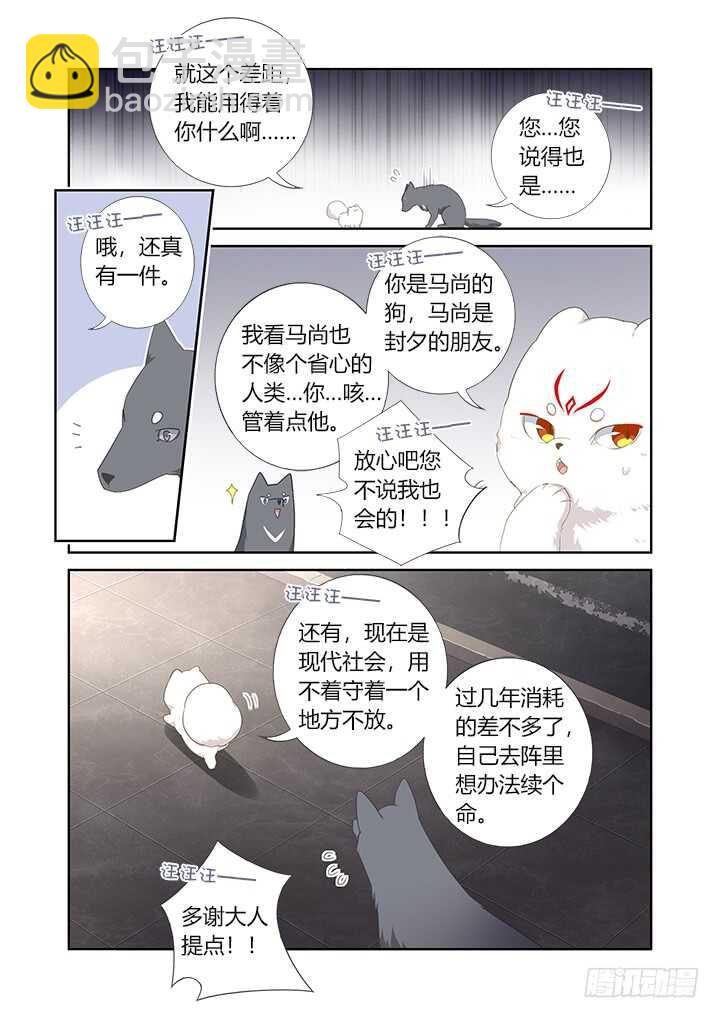 🍜妖怪名单 405.中华田园犬 第3页