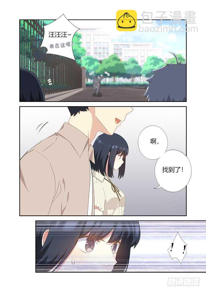 🍜妖怪名单 405.中华田园犬 第5页