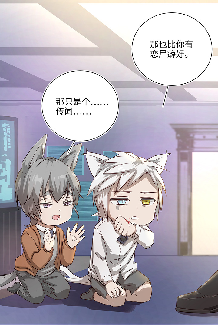 番外③ 泠珝与异色瞳狮子猫（下）-第111话
