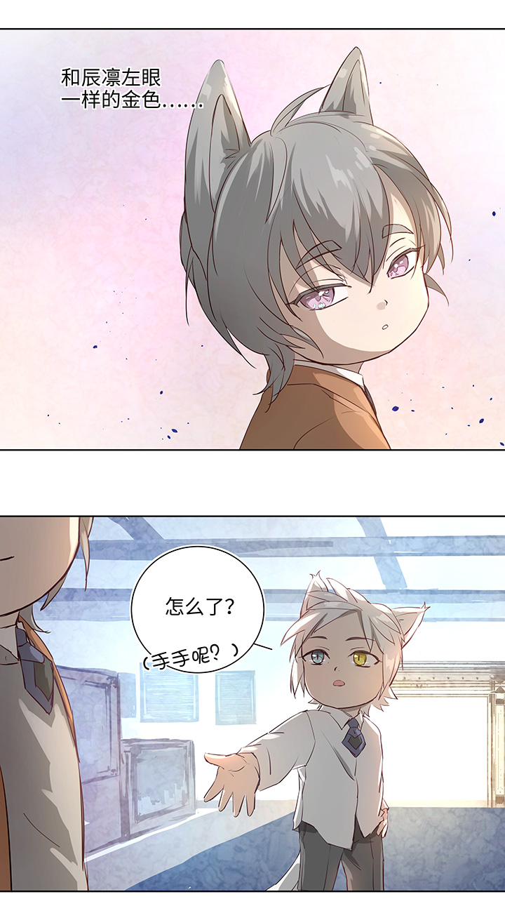 番外③ 泠珝与异色瞳狮子猫（下）-第111话