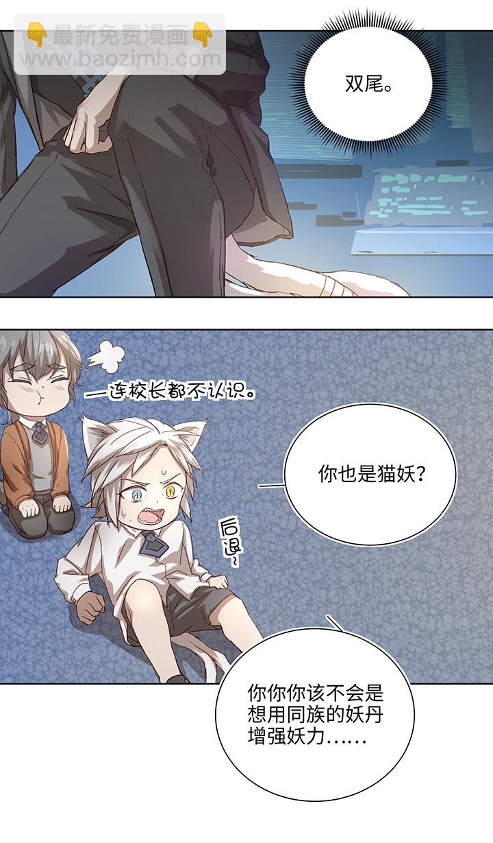 番外③ 泠珝与异色瞳狮子猫（下）-第111话