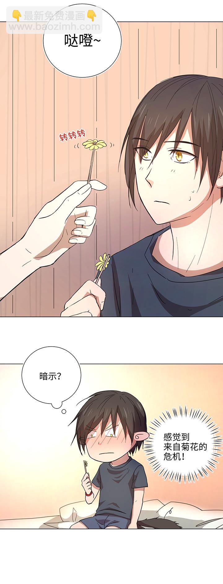 46 小菊花-第47话