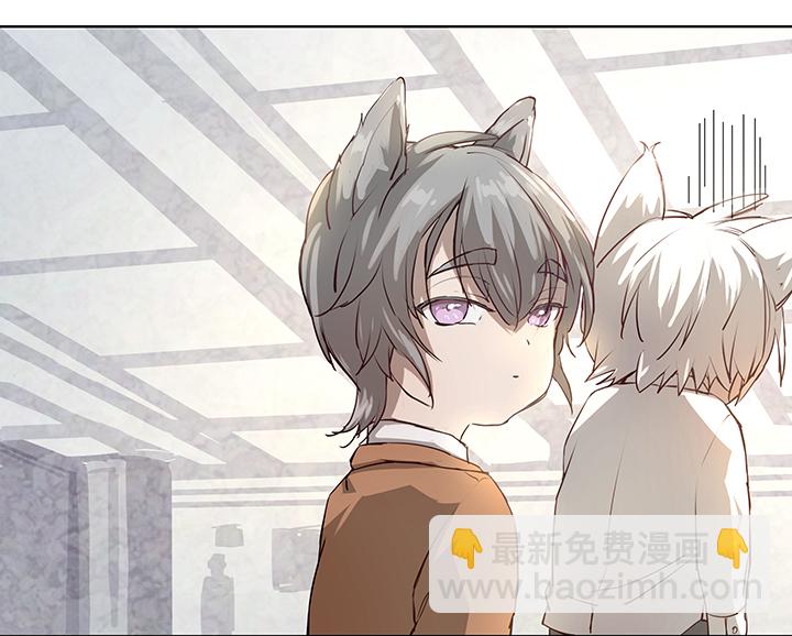 番外③ 泠珝与异色瞳狮子猫（下）-第111话