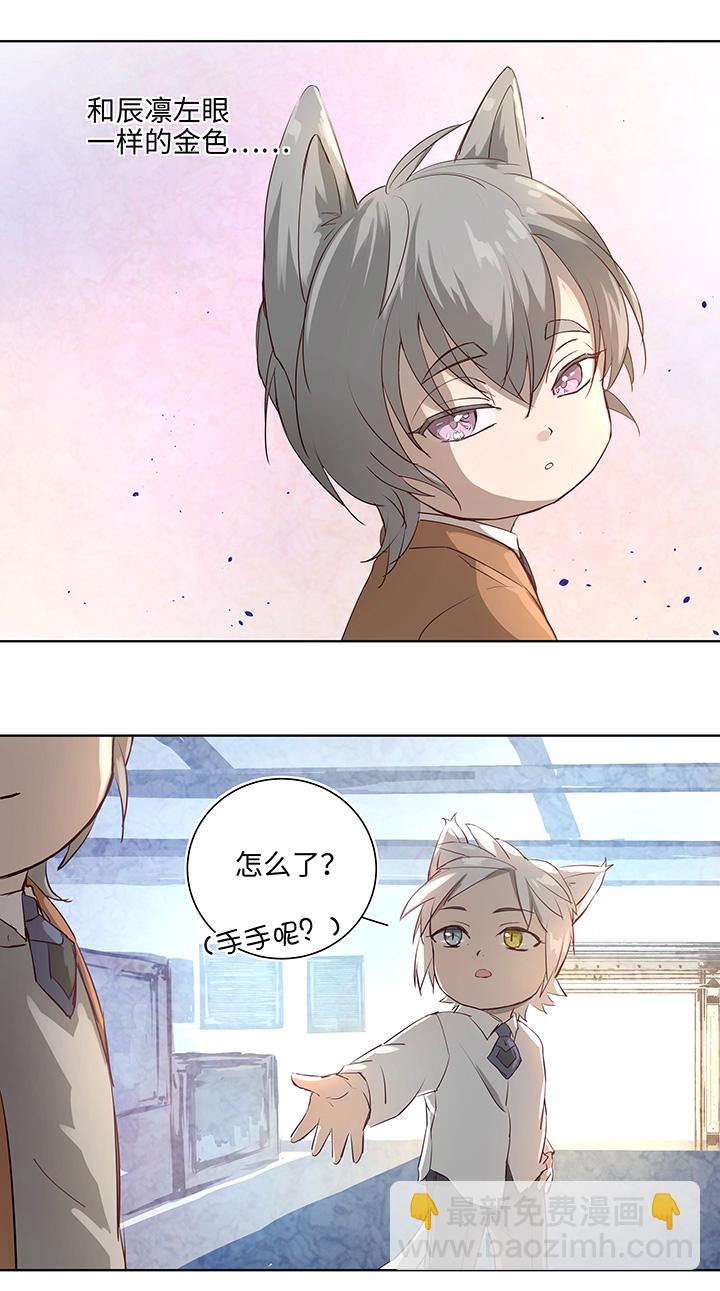 番外③ 泠珝与异色瞳狮子猫（下）-第111话