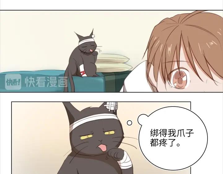 20 奇妙的邀请(1/2)-第21话