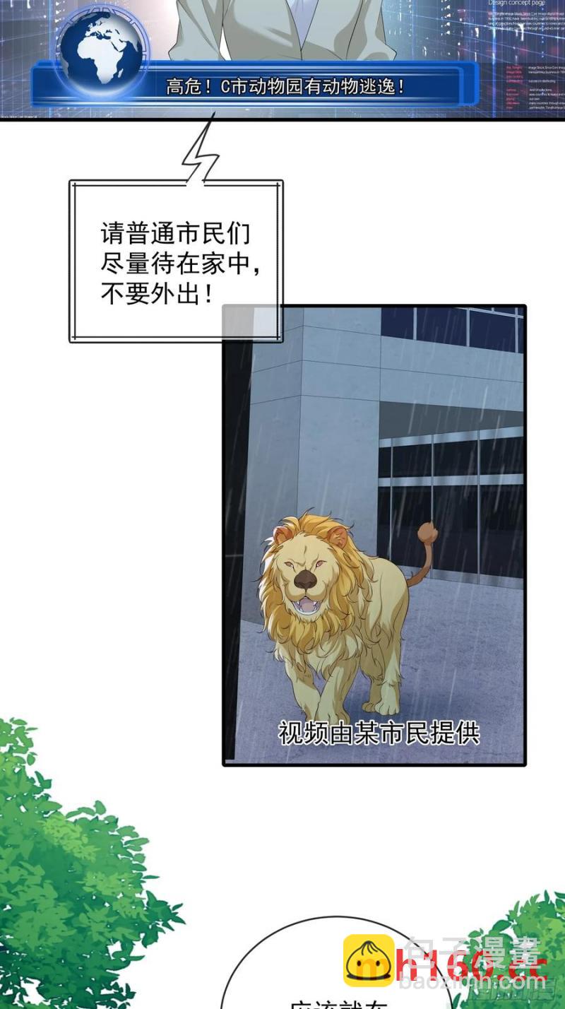 133 各自带队-第141话