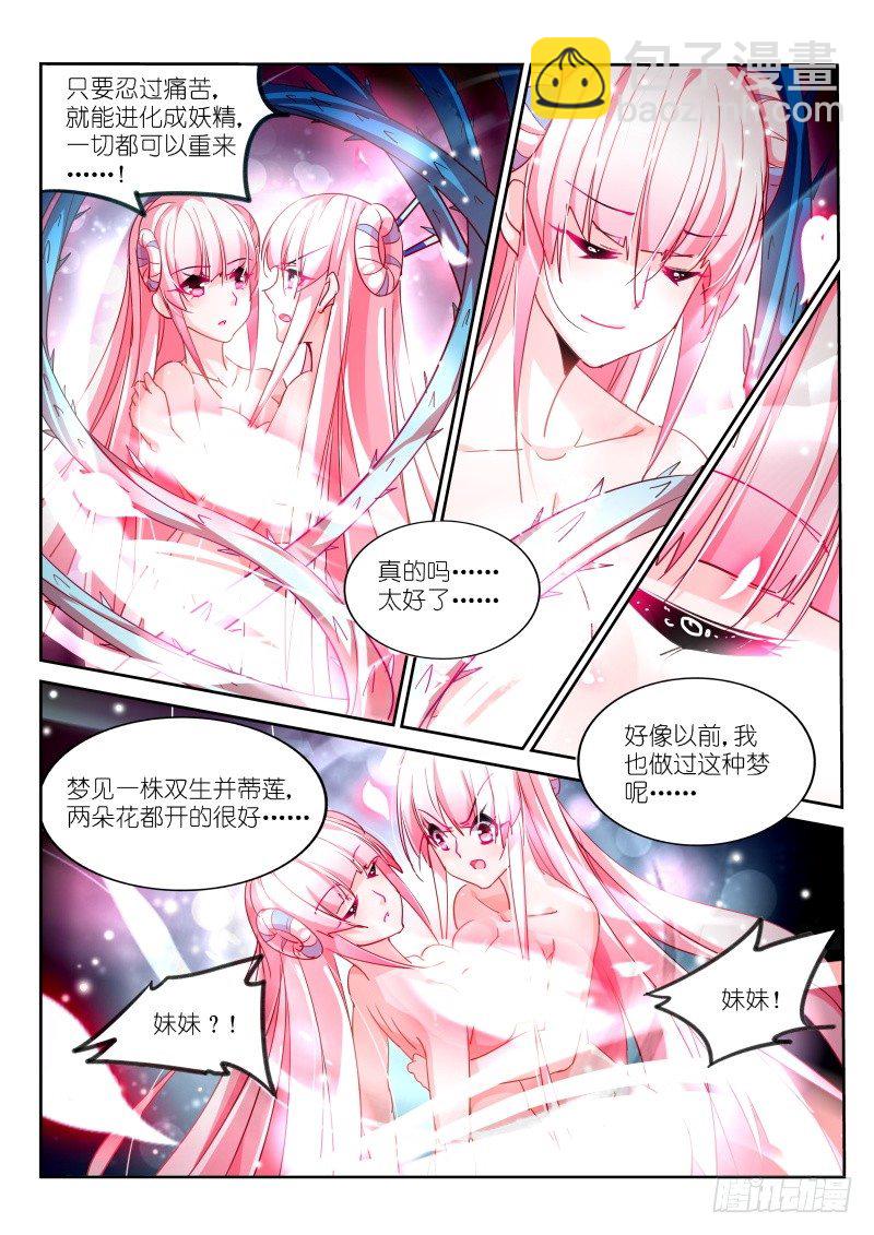 🍜妖精种植手册 99-原点 第7页