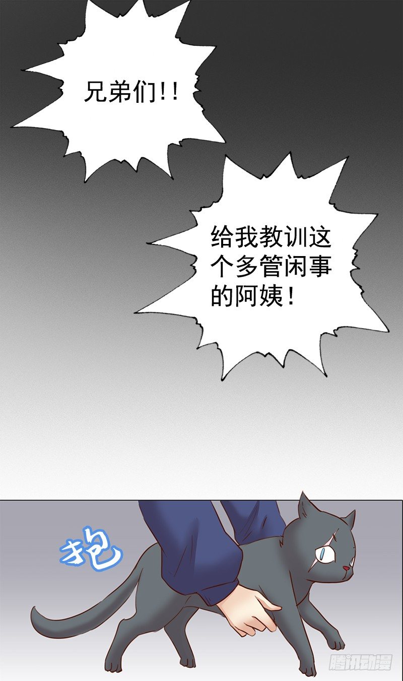 二话：六百年后的重逢(1/2)-第3话