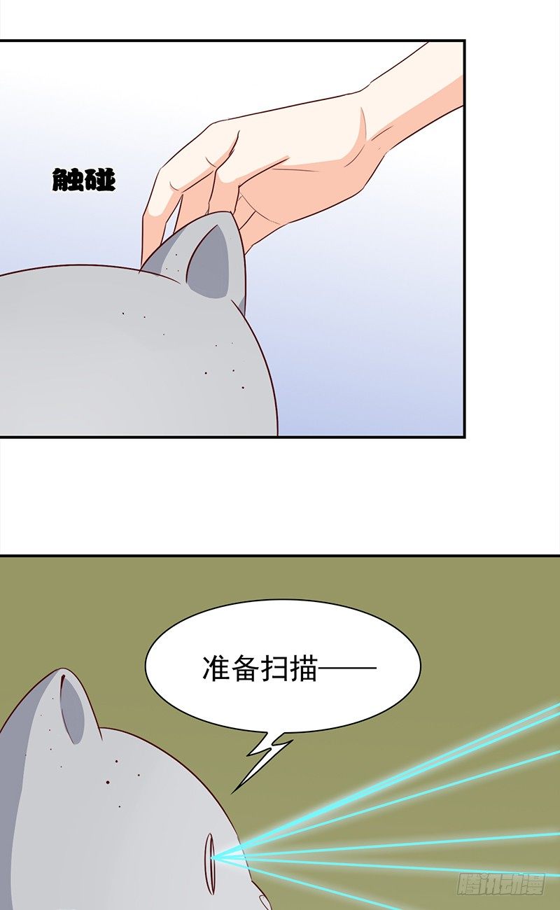 五十话：猫的报恩-第51话